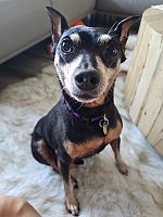 Jeffrey